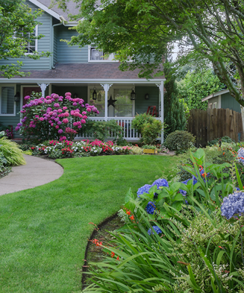 Garden Design & Planting