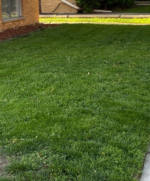 Imagen de WhatsApp 2025-05-22 a las 17.03.46_7b635515