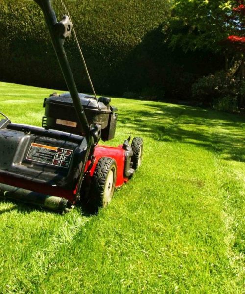 Lawn Care & Maintenance